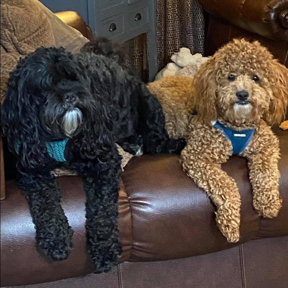 Meet your Posher, Stacie